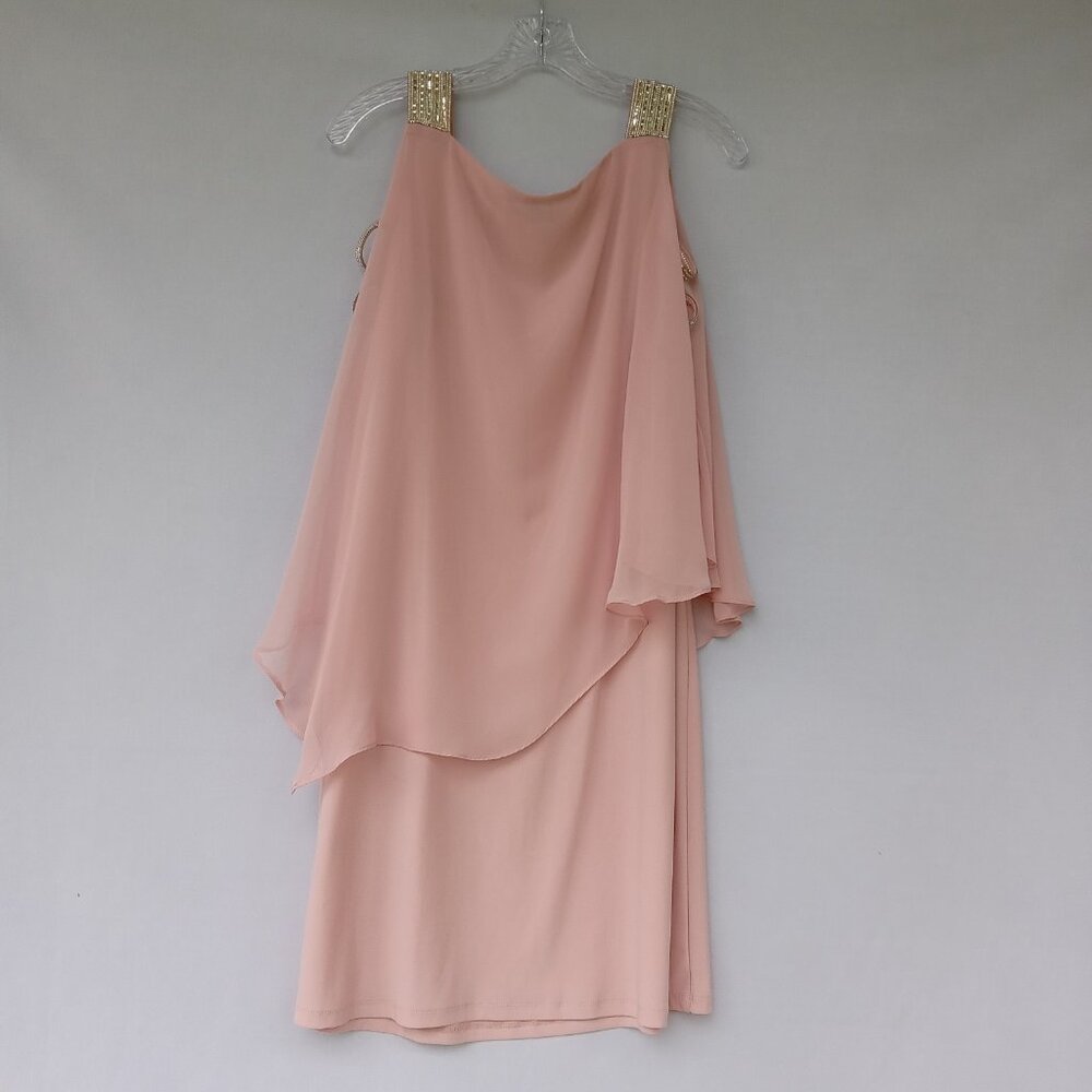 MSK Women's Blush/Pink Embellished Trim Sheer Overlay Formal Party Dress Size L - Picture 2 of 7